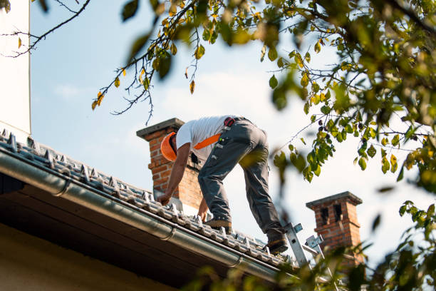 Best Roof Moss and Algae Removal  in Lynchburg, MS