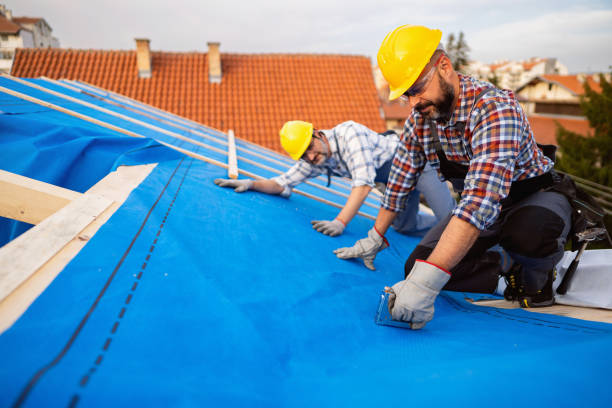 Best Rubber Roofing (EPDM, TPO)  in Lynchburg, MS